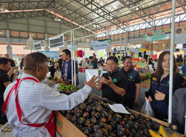 “รมช.เกษตร” ปักหมุดตลาดเกษตรกรเชียงราย หนุนบริโภคผลไม้ไทย ... พารามิเตอร์รูปภาพ 69